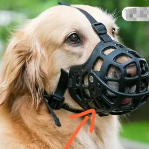 Masque pour chien