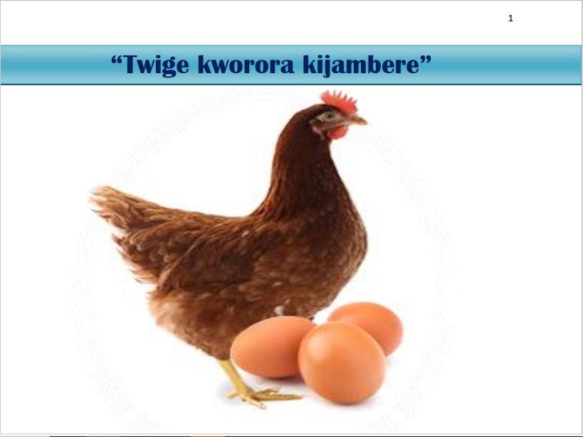 Avicole solution Burundi