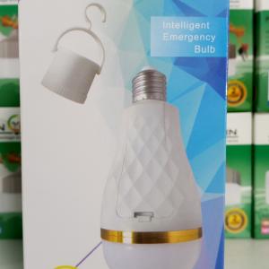 Intelligent emergency bulb