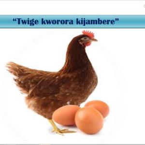 Livre de formation en aviculture (PDF)